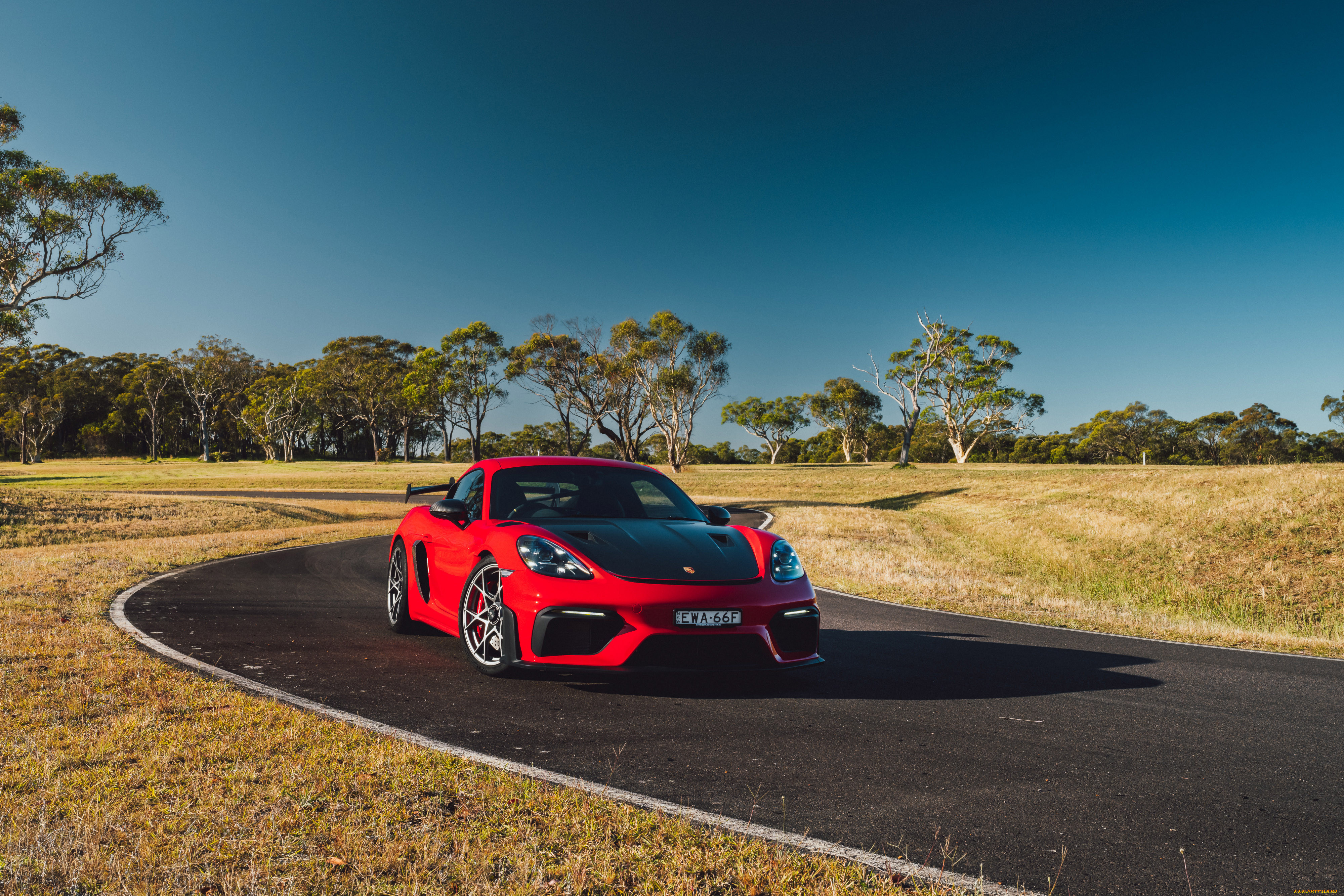 , porsche